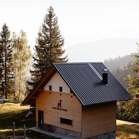 Alpine Cottage Golica Jesenice Exteriér fotografie