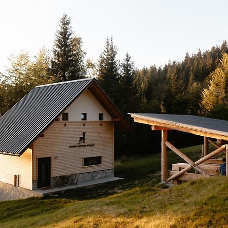 Alpine Cottage Golica Jesenice Exteriér fotografie
