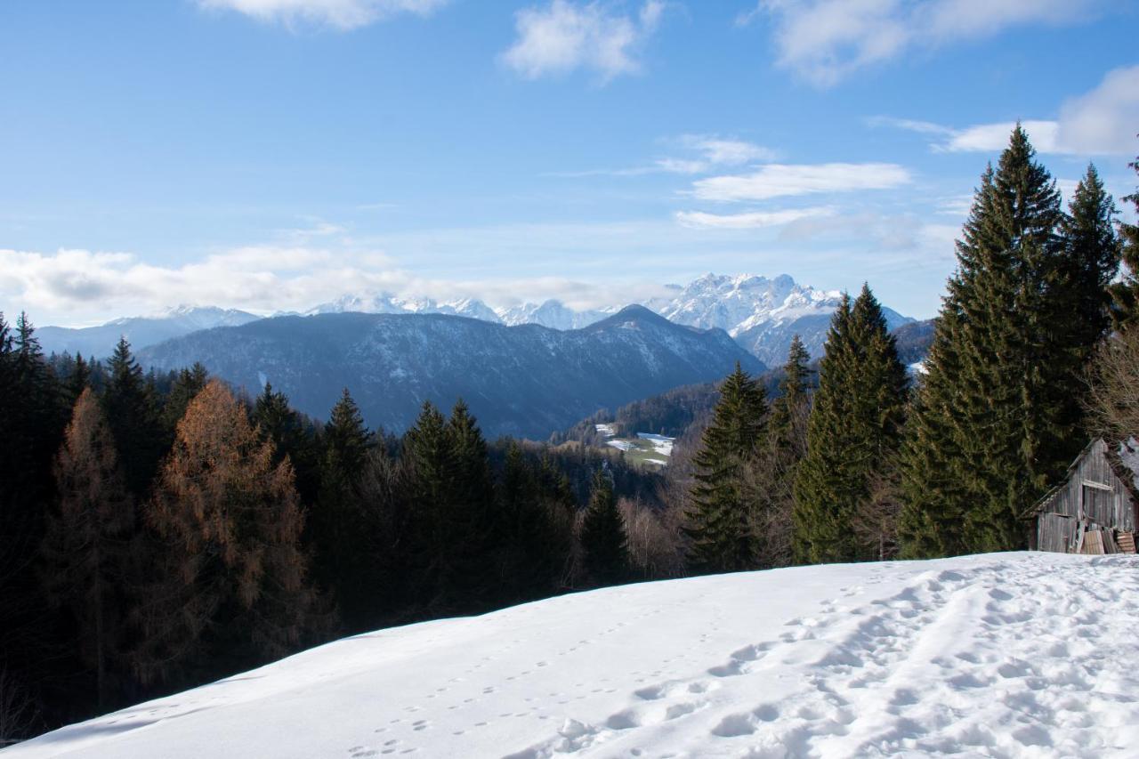 Alpine Cottage Golica Jesenice Exteriér fotografie