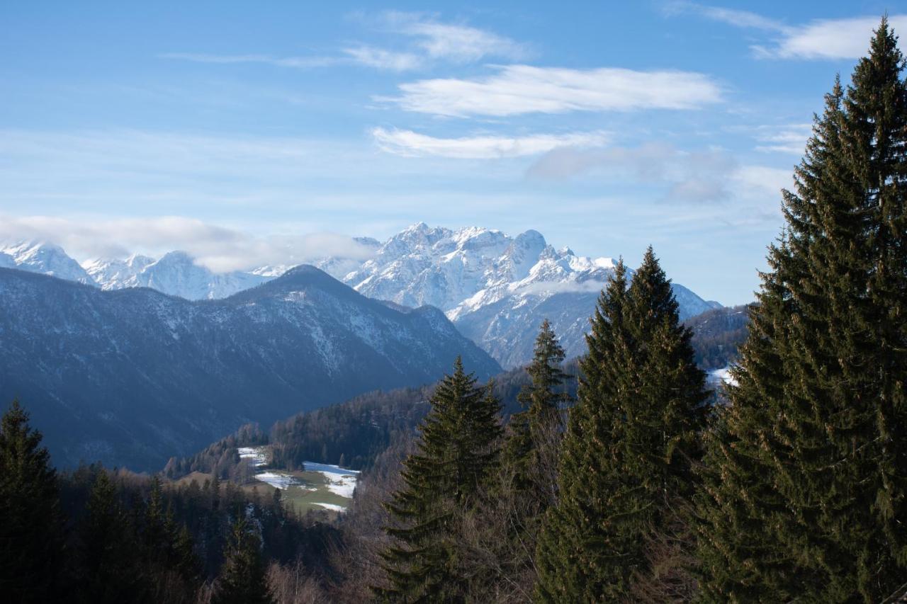 Alpine Cottage Golica Jesenice Exteriér fotografie